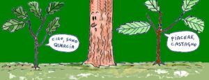 vita da vegetale