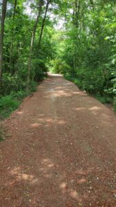 Strada rossa
