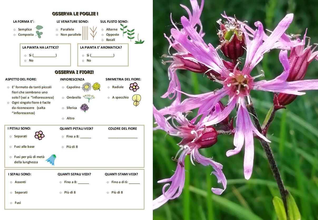 natura a scuola
