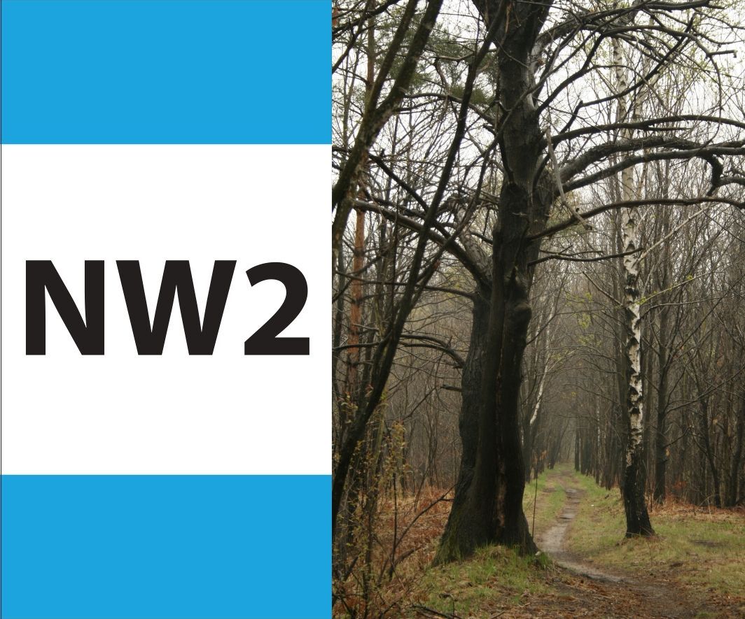 nordic walking 2