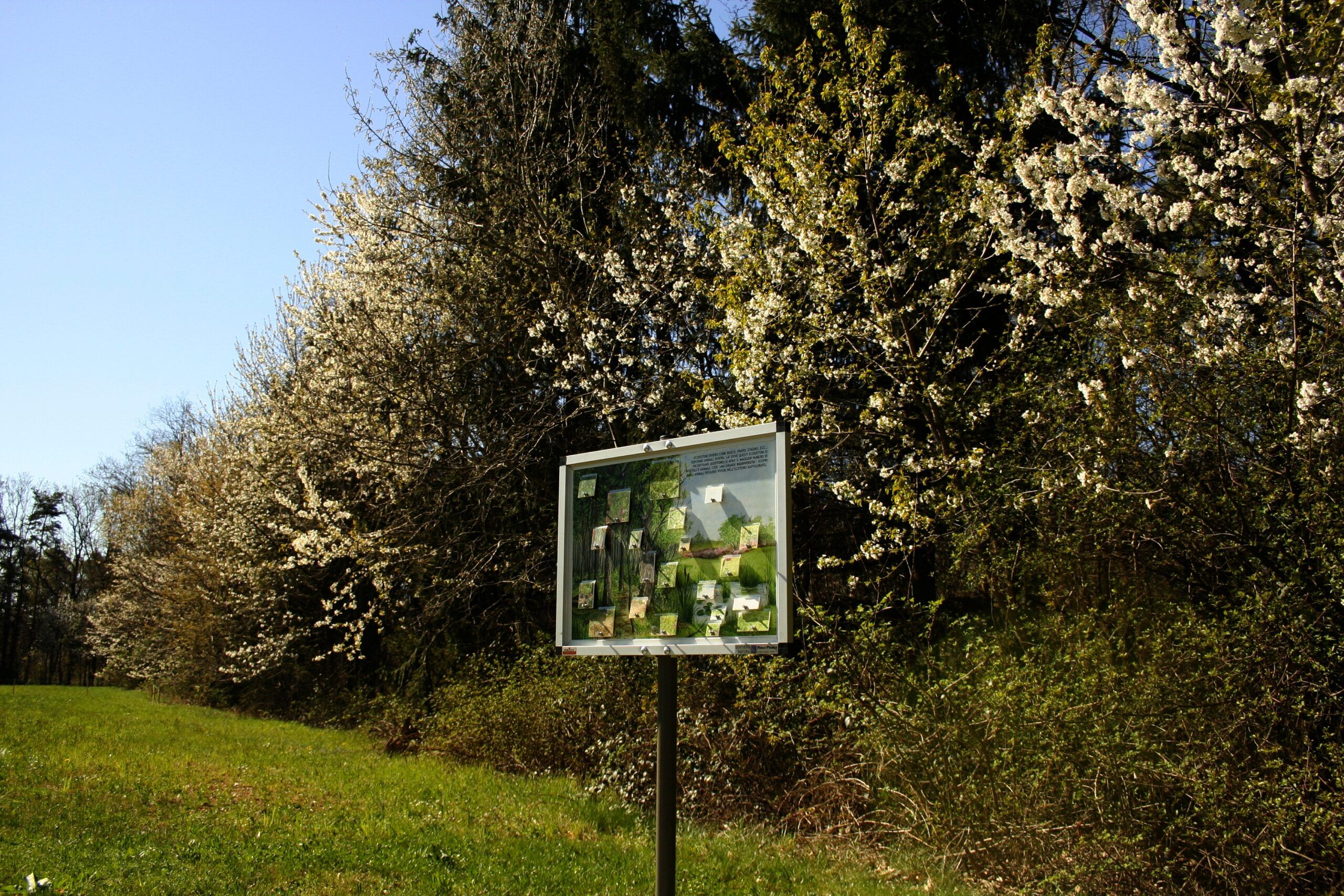 sentiero natura