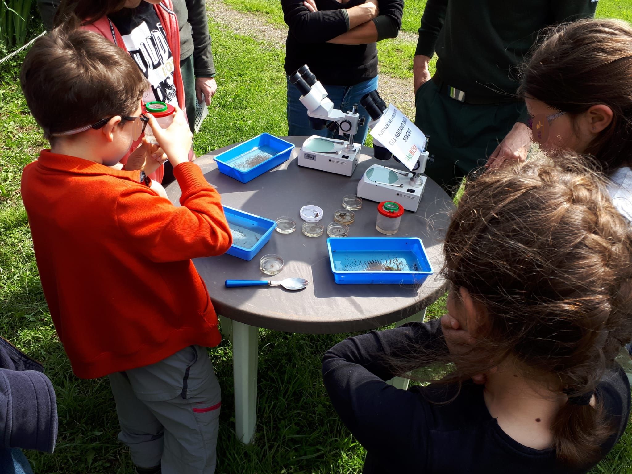 Bioblitz 2023