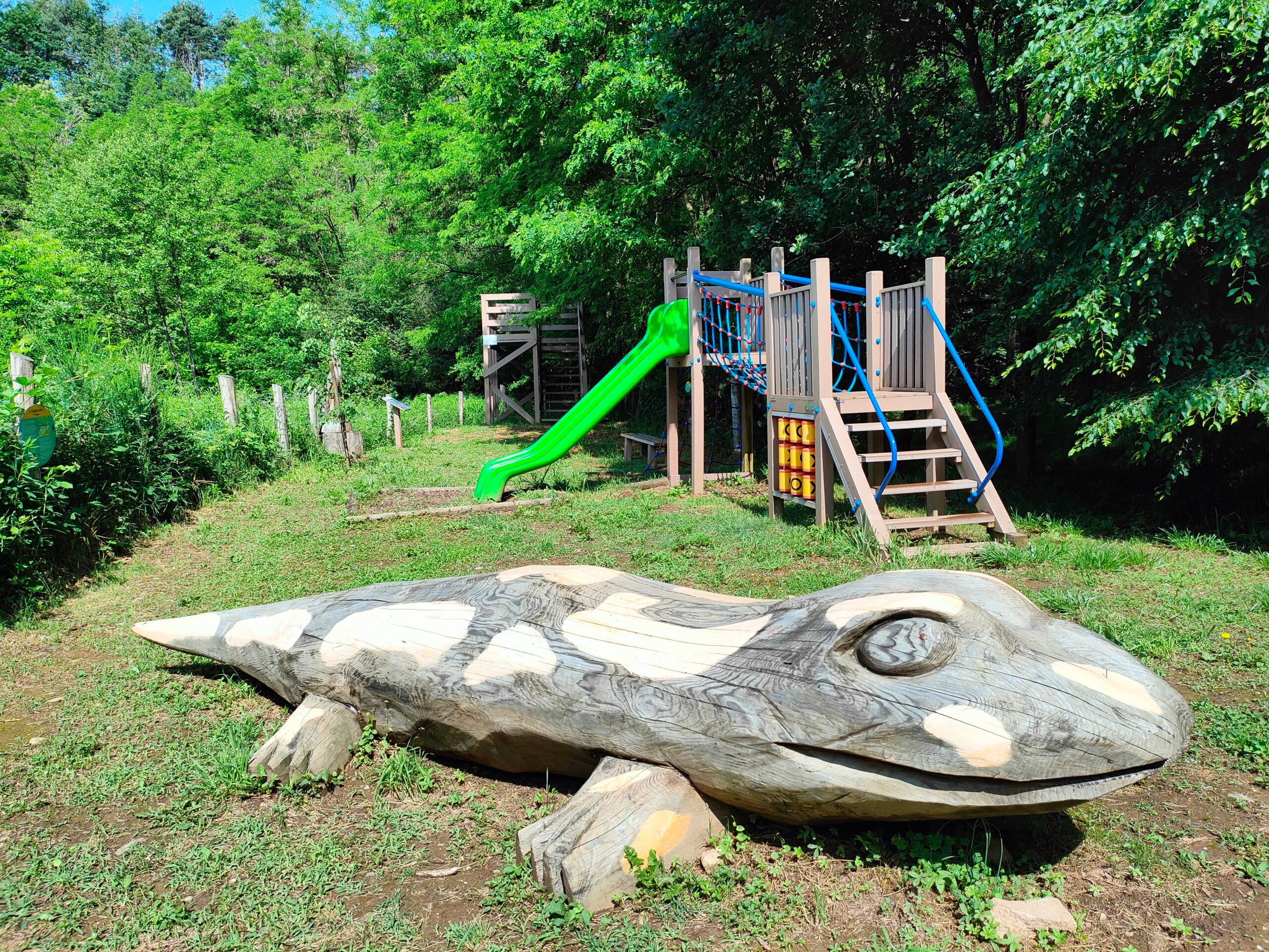 Area di sosta della Salamandra - giochi