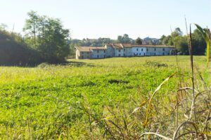 Balzarine