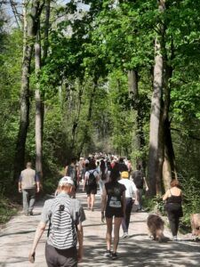 CamminAppiano